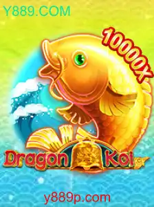 Desvendando o Mundo de DragonKoi: Um Guia Completo para Jogadores